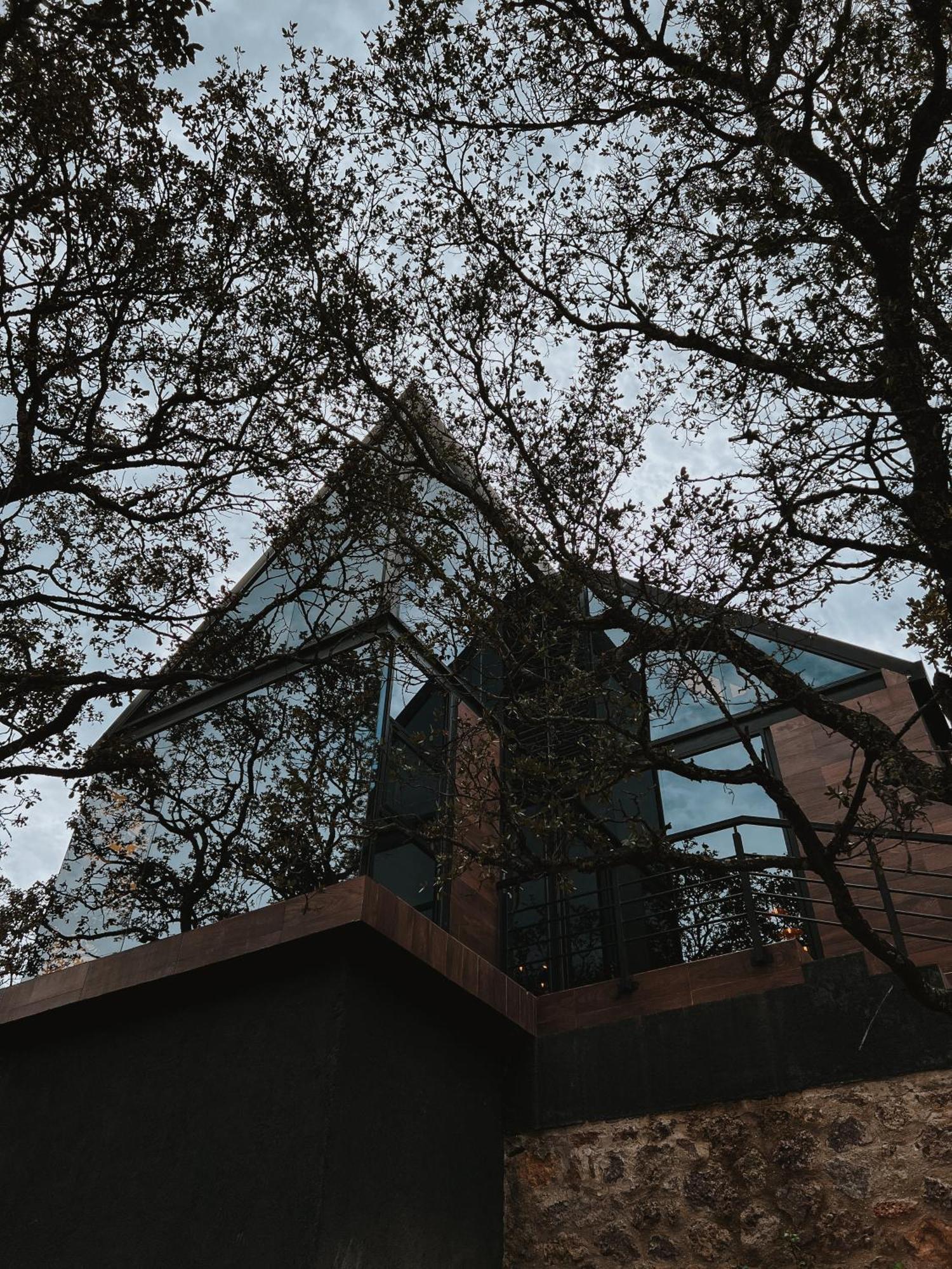La Foret Cabanas Boutique 莱昂 外观 照片