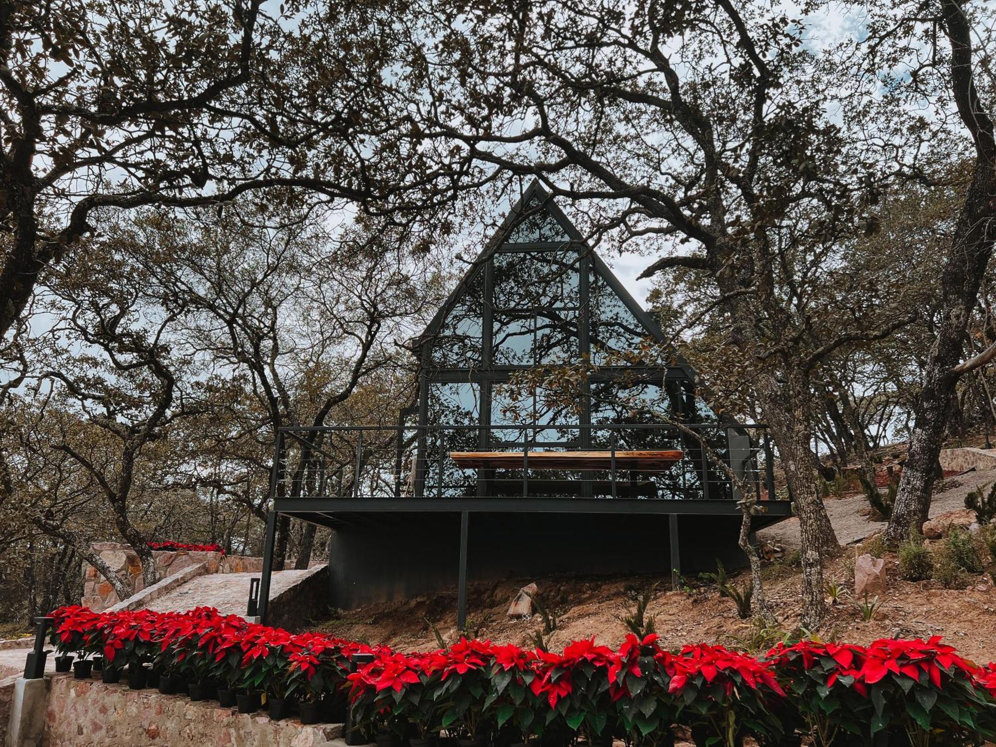 La Foret Cabanas Boutique 莱昂 外观 照片