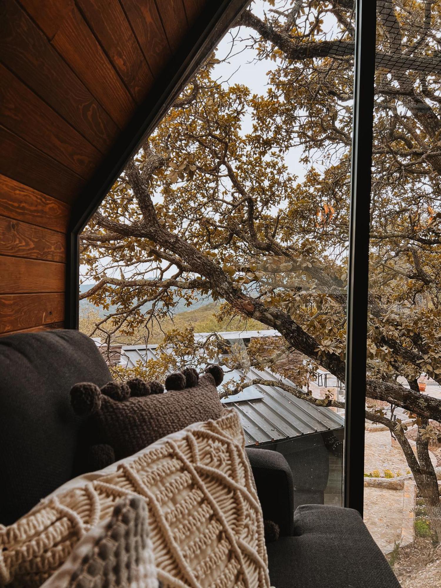 La Foret Cabanas Boutique 莱昂 外观 照片